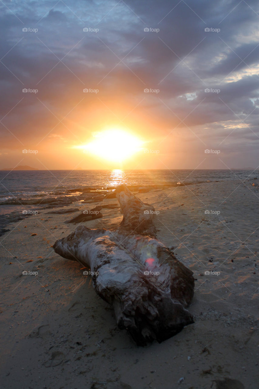 Driftwood at sunset