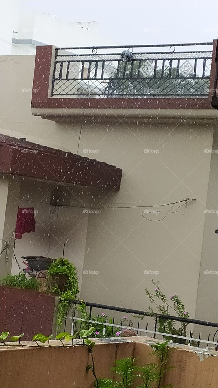 Sudden change in weather: unique characteristic of monsoon. It's raining like cats and dogs.