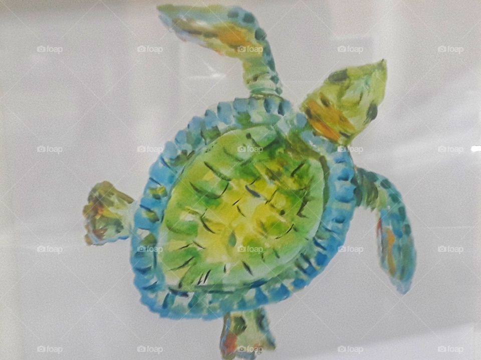 sea turtle print