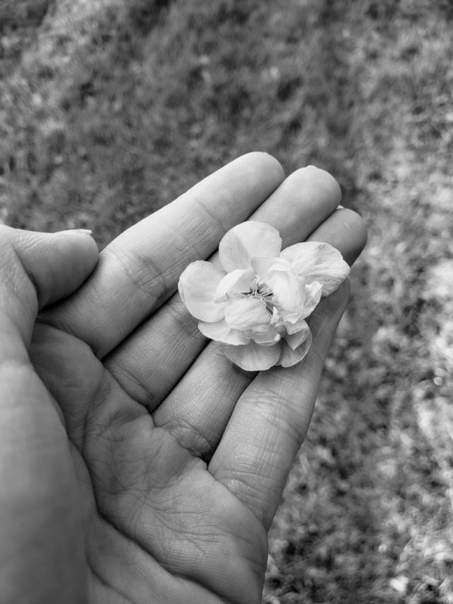 holding flower