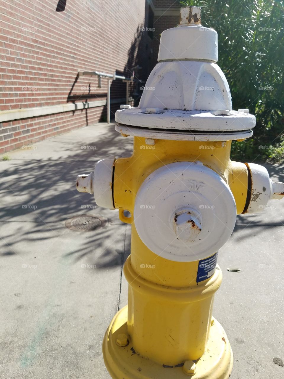 fire hydrant