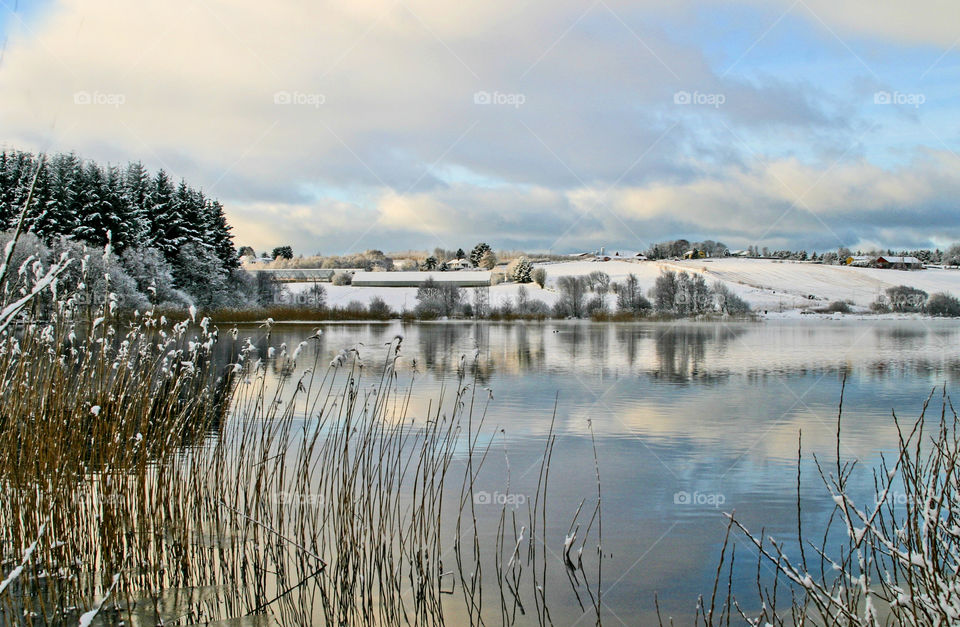 Scenic winter landscape