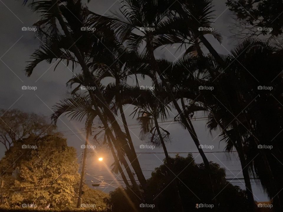 🌄🇺🇸 An extremely beautiful dawn in Jundiaí, interior of Brazil. Cheer the nature! / 🇧🇷 Um amanhecer extremamente bonito em Jundiaí, interior do Brasil. Viva a natureza! 