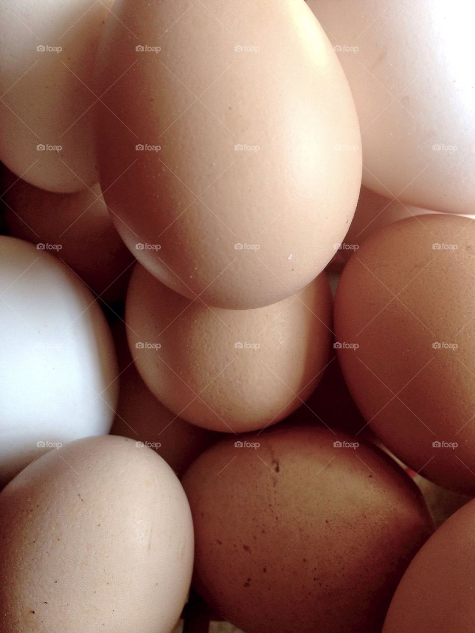 Eggs