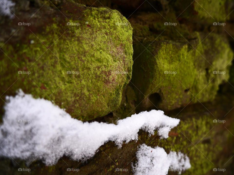 colors of spring. I took this photo on the Sunday walk