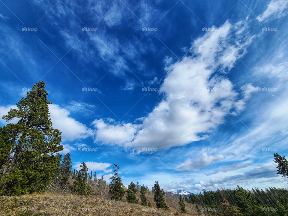Beautiful fluffy clouds crawling across the big blue sky