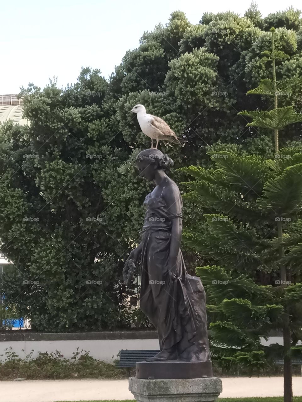 Seagull on a statute at "Palacio de Cristal" park in Porto