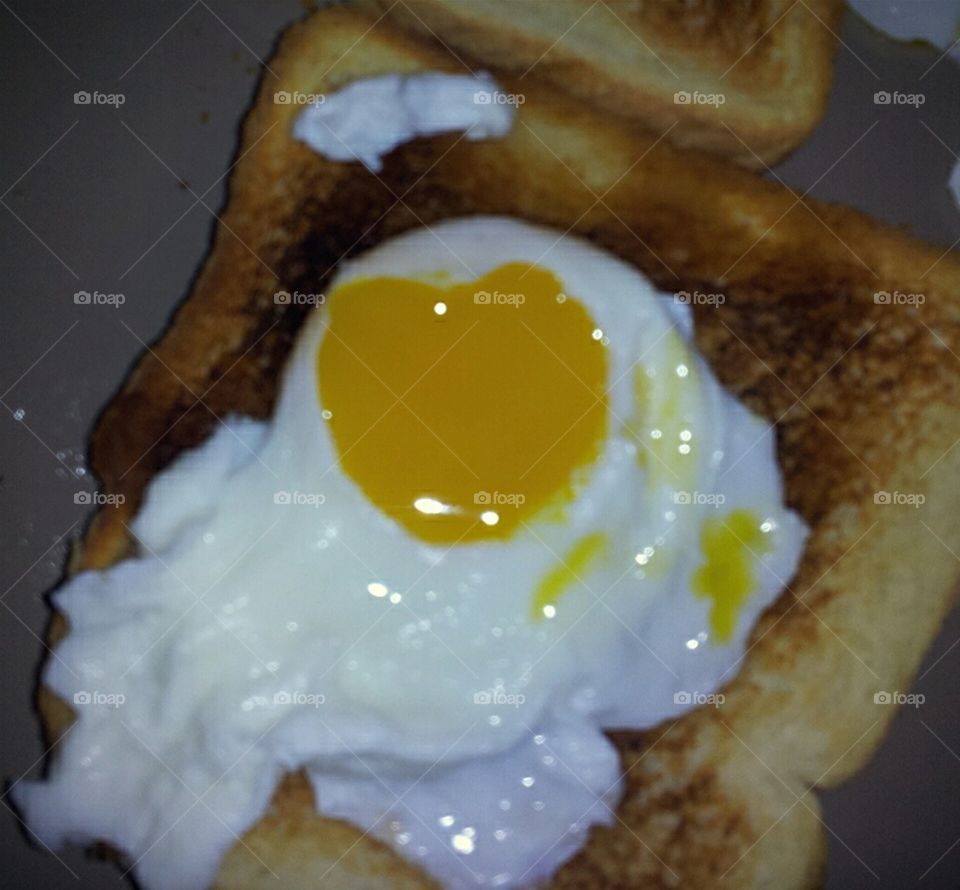my egg loves