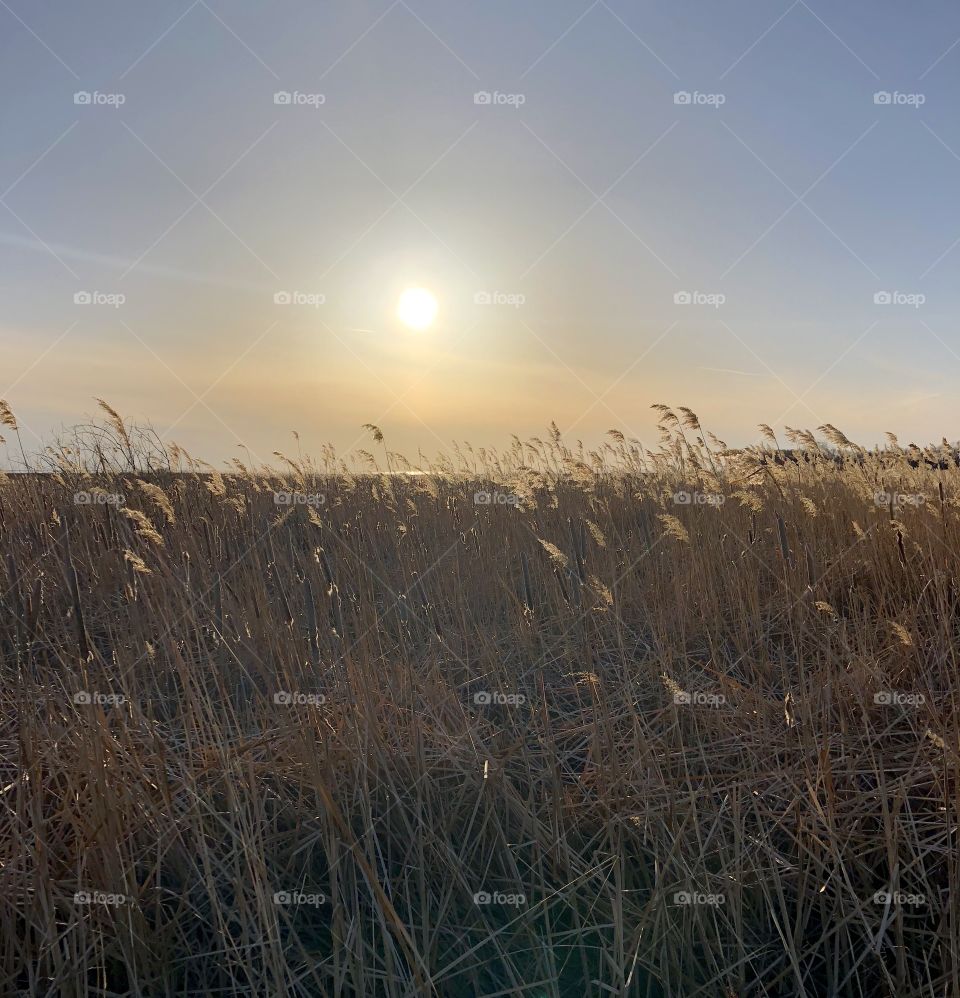 Prairie Sunset 