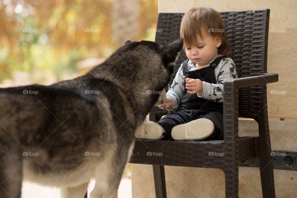 baby feeding her dog