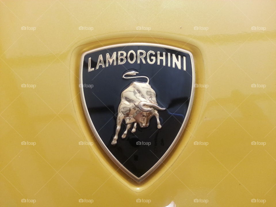 lamborghini badge 