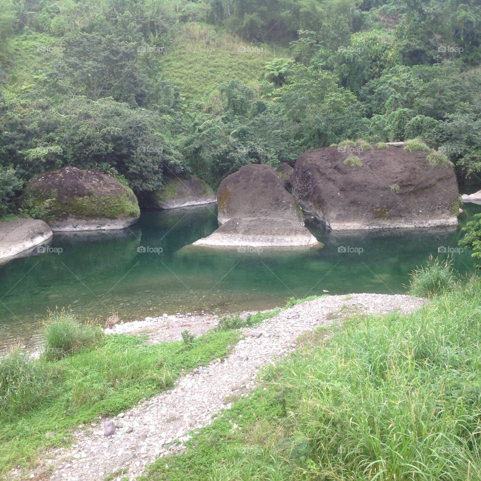 Nature, Landscape, Water, Grass, Travel