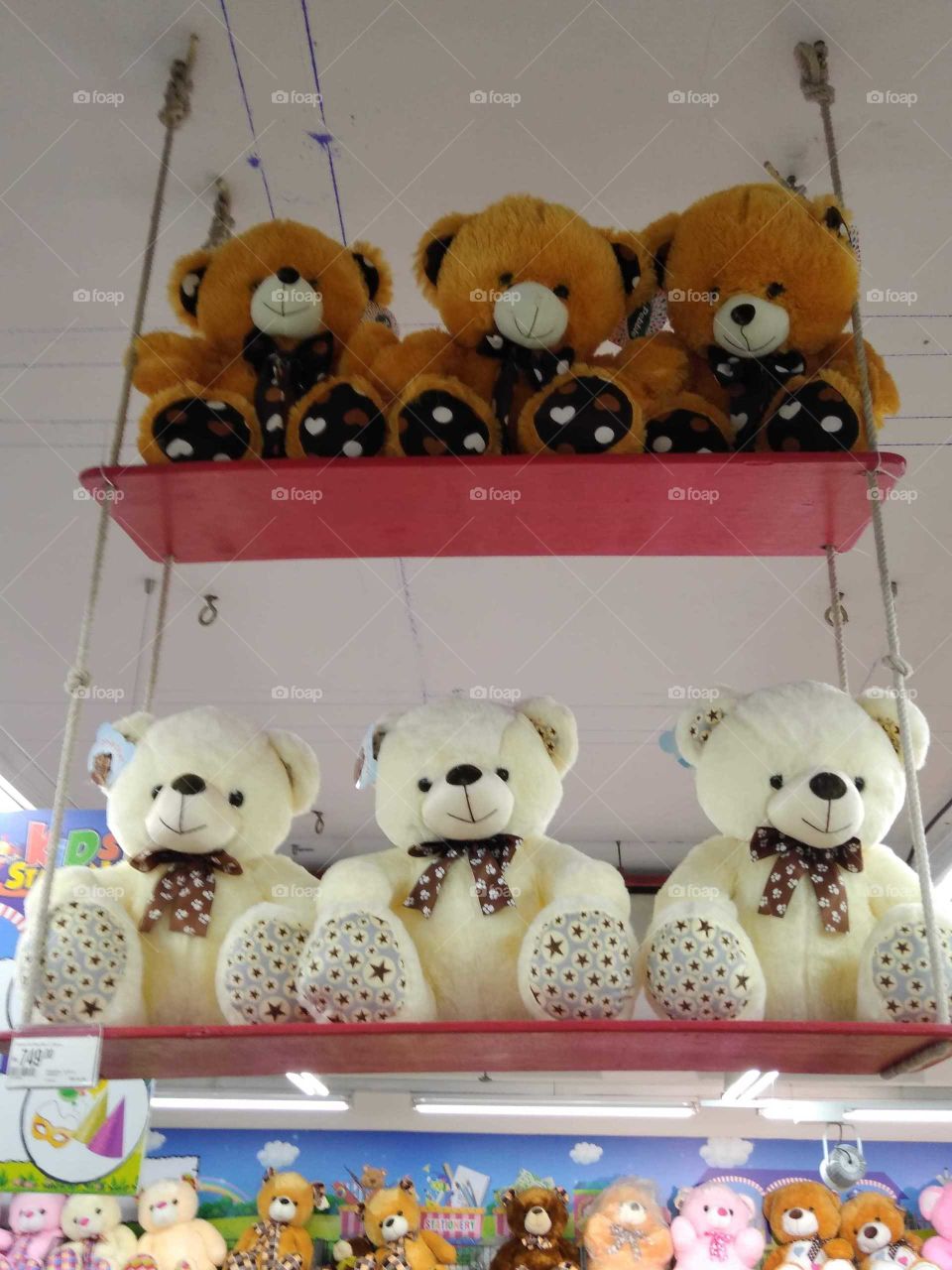 Hanging teddies