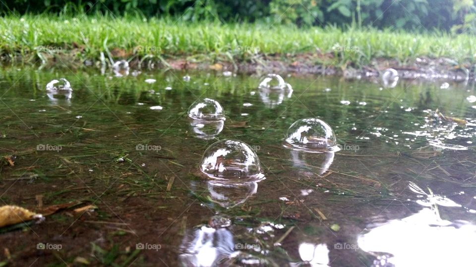 puddle bubble