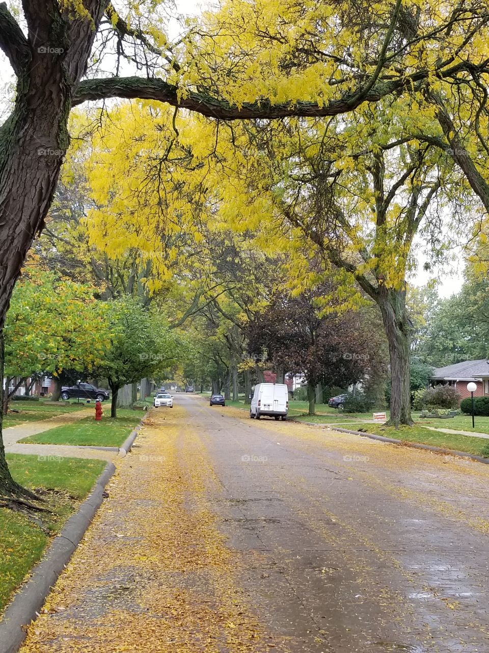 Fall in Sacramento