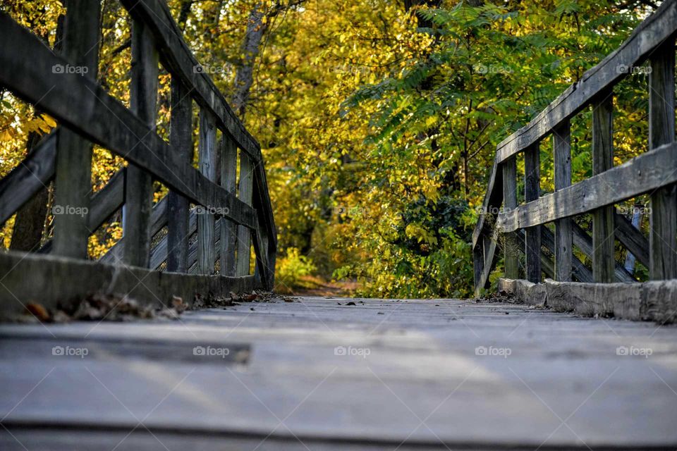 Empty brigde