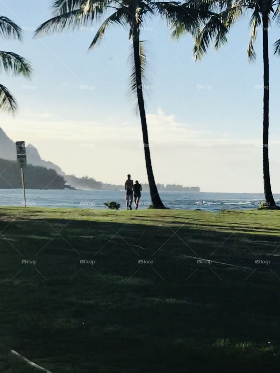 Hanalei Beach 