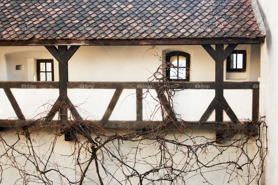 Bran castle