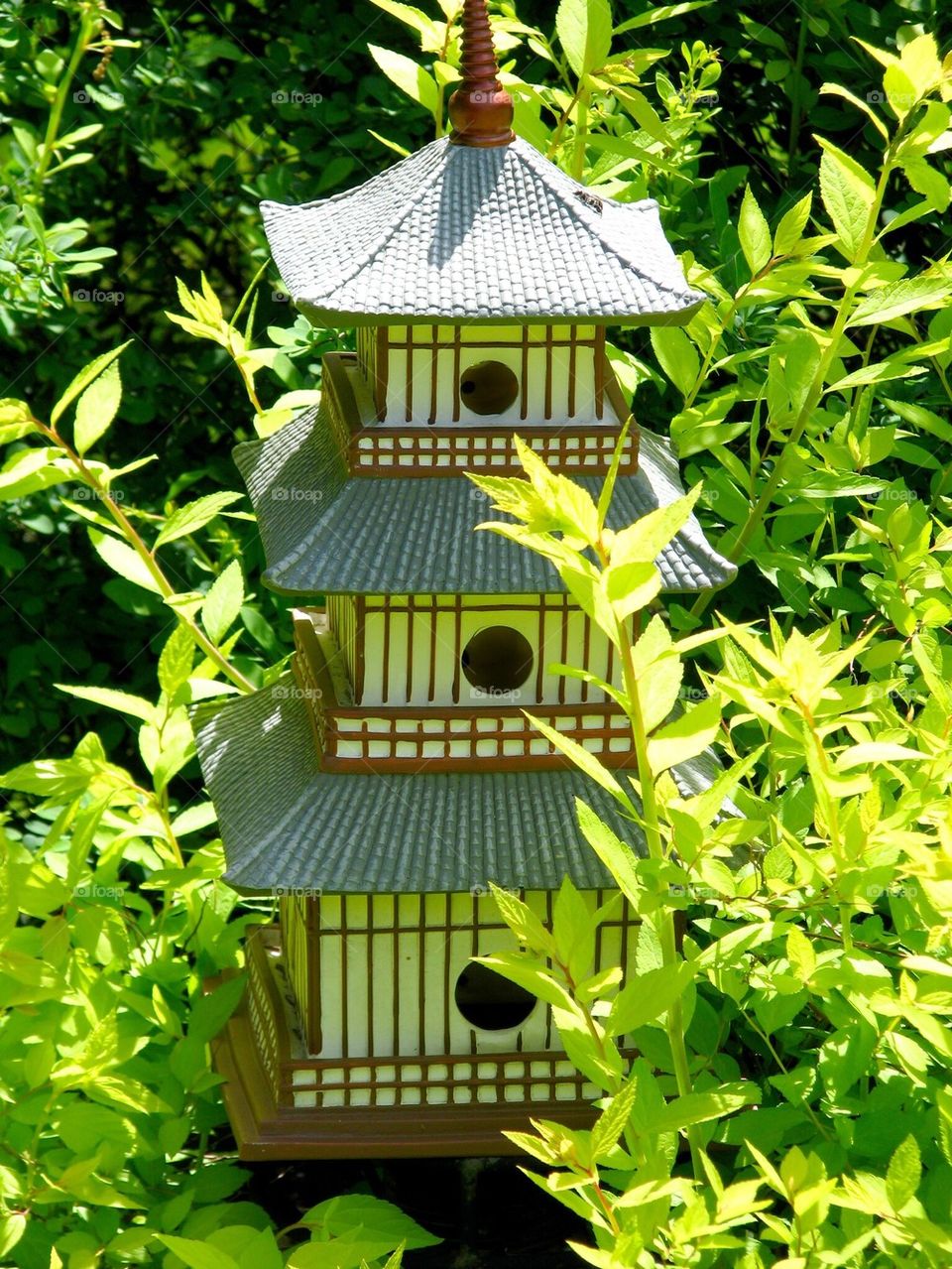 Bird house