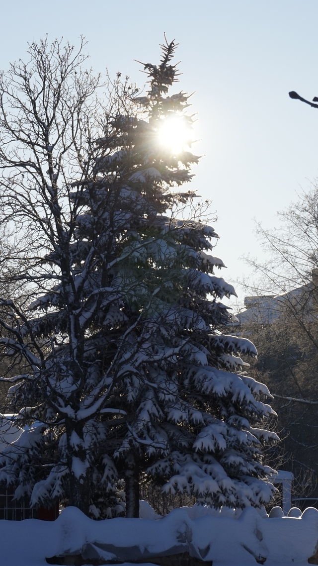 winter