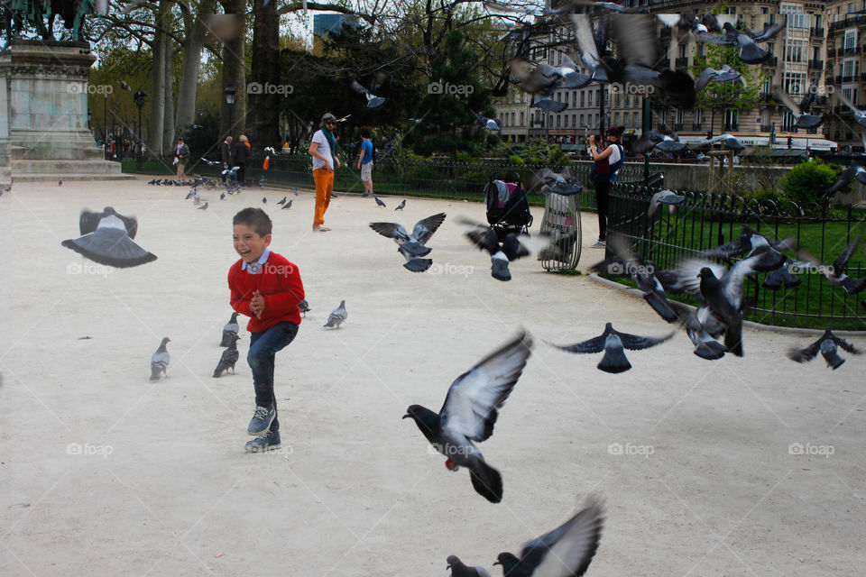 Boy Paris Birds