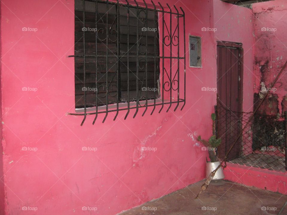 Pink wall 