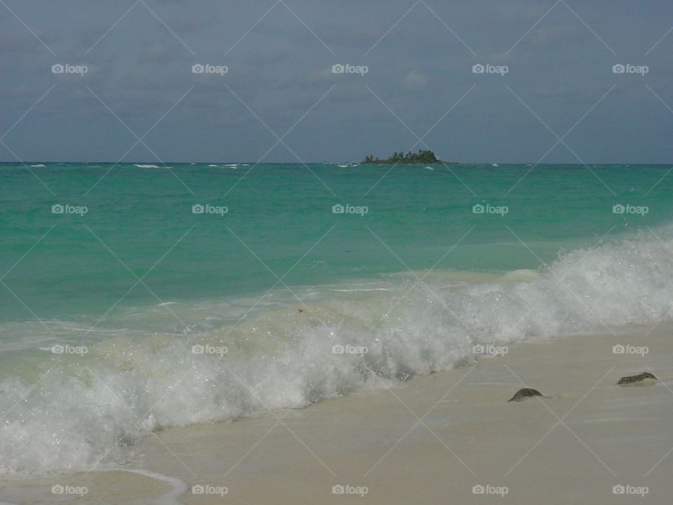 Wave Crashing on Shore