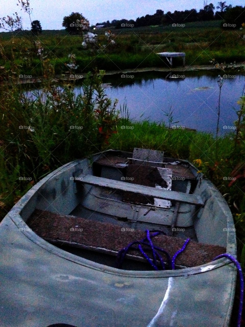 A Calm Summer Evening