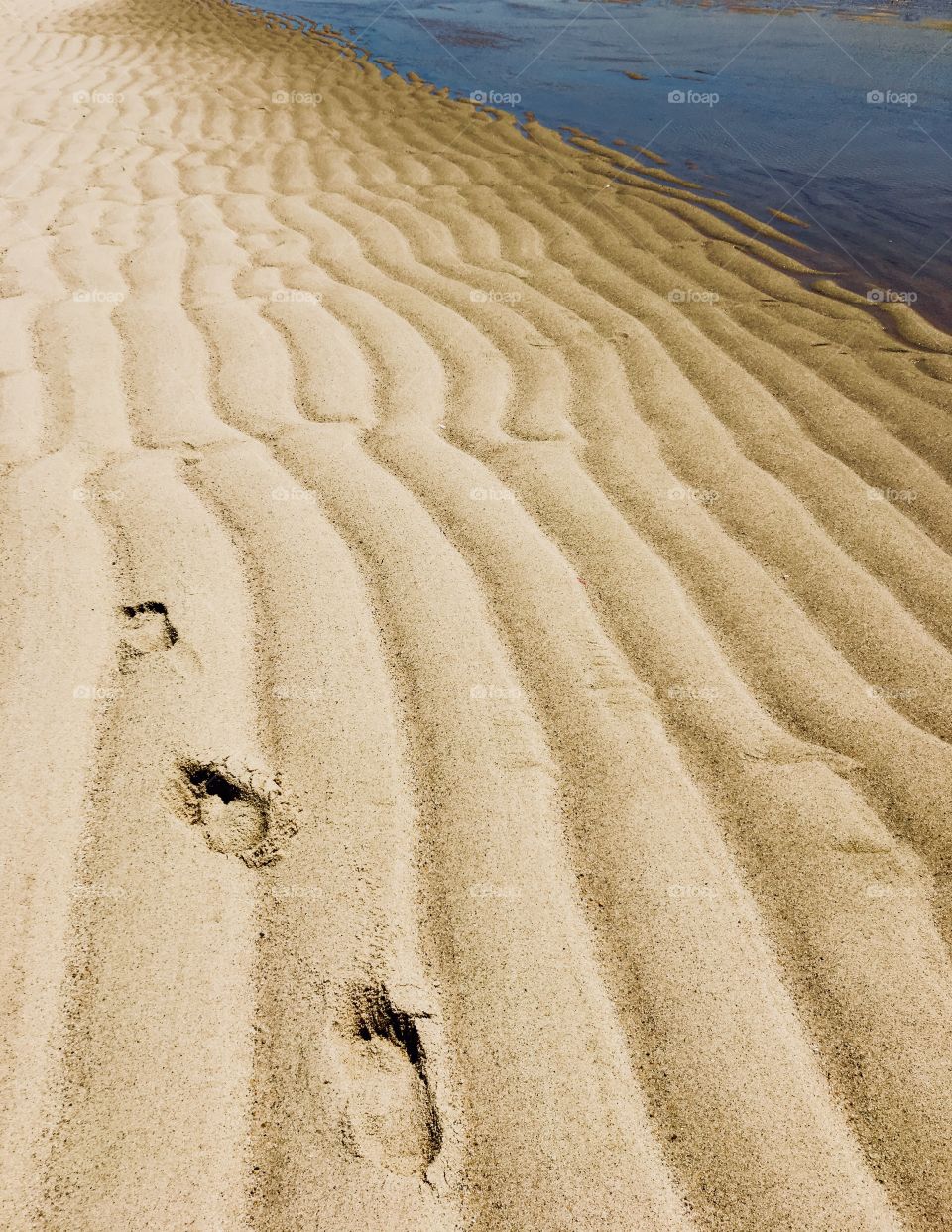 A walk on the beach