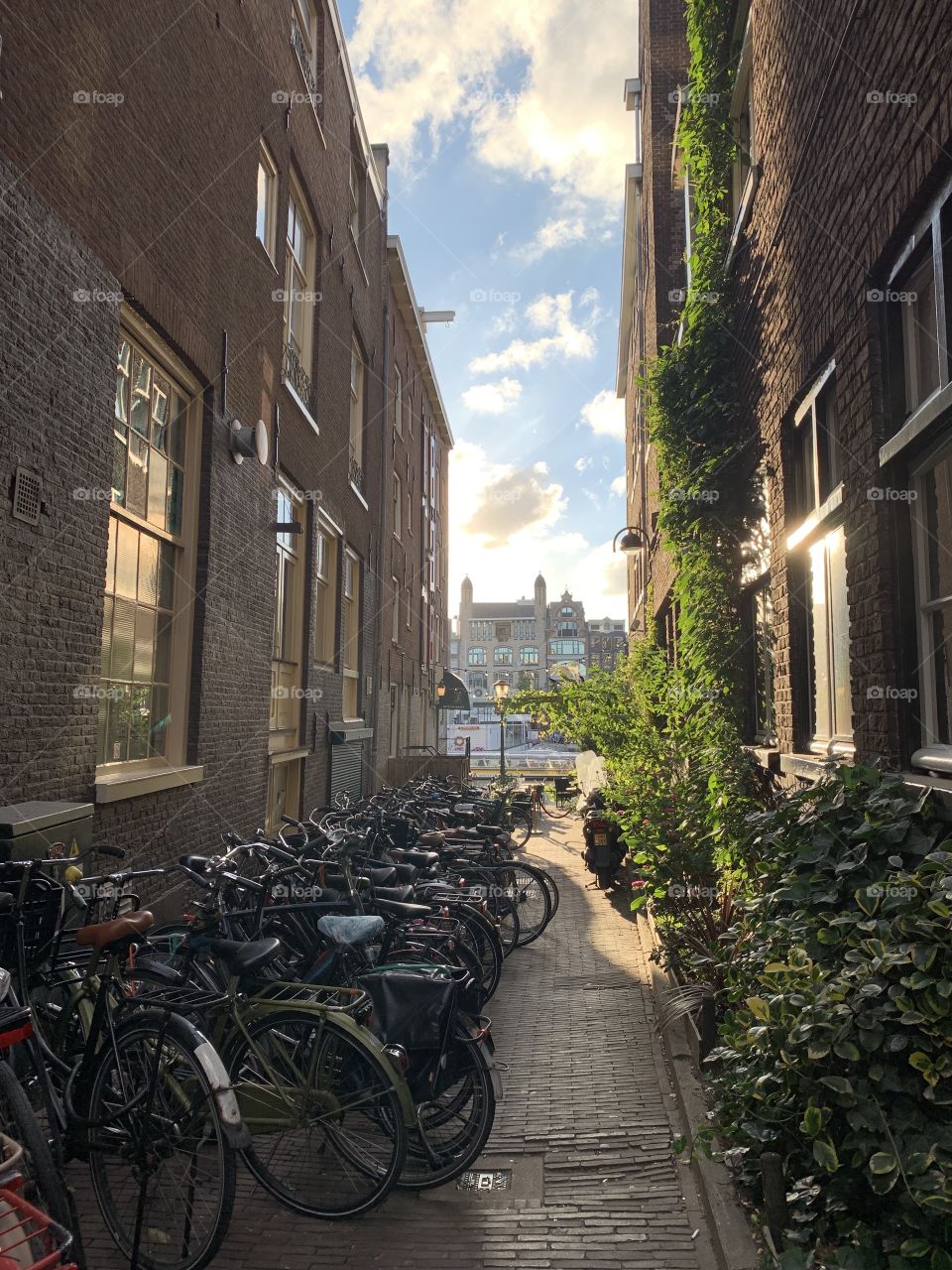 Amsterdam Bikes and Sunset 