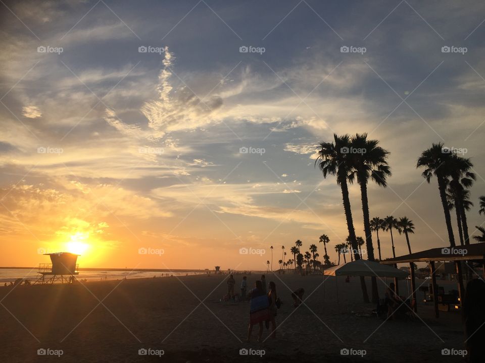 A beach in California with palm trees in the afternoon