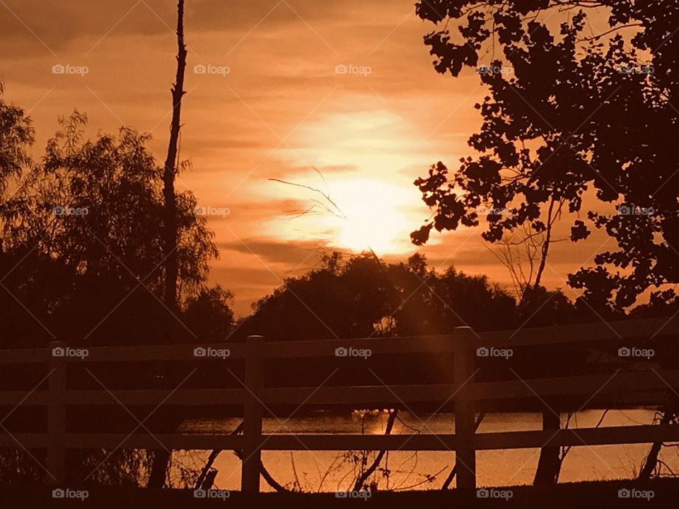 Sunsets can be difficult to Picture. Crafty eyes time Consumption can beat the odds of completing a Gorgeous Sunset. Winner! 