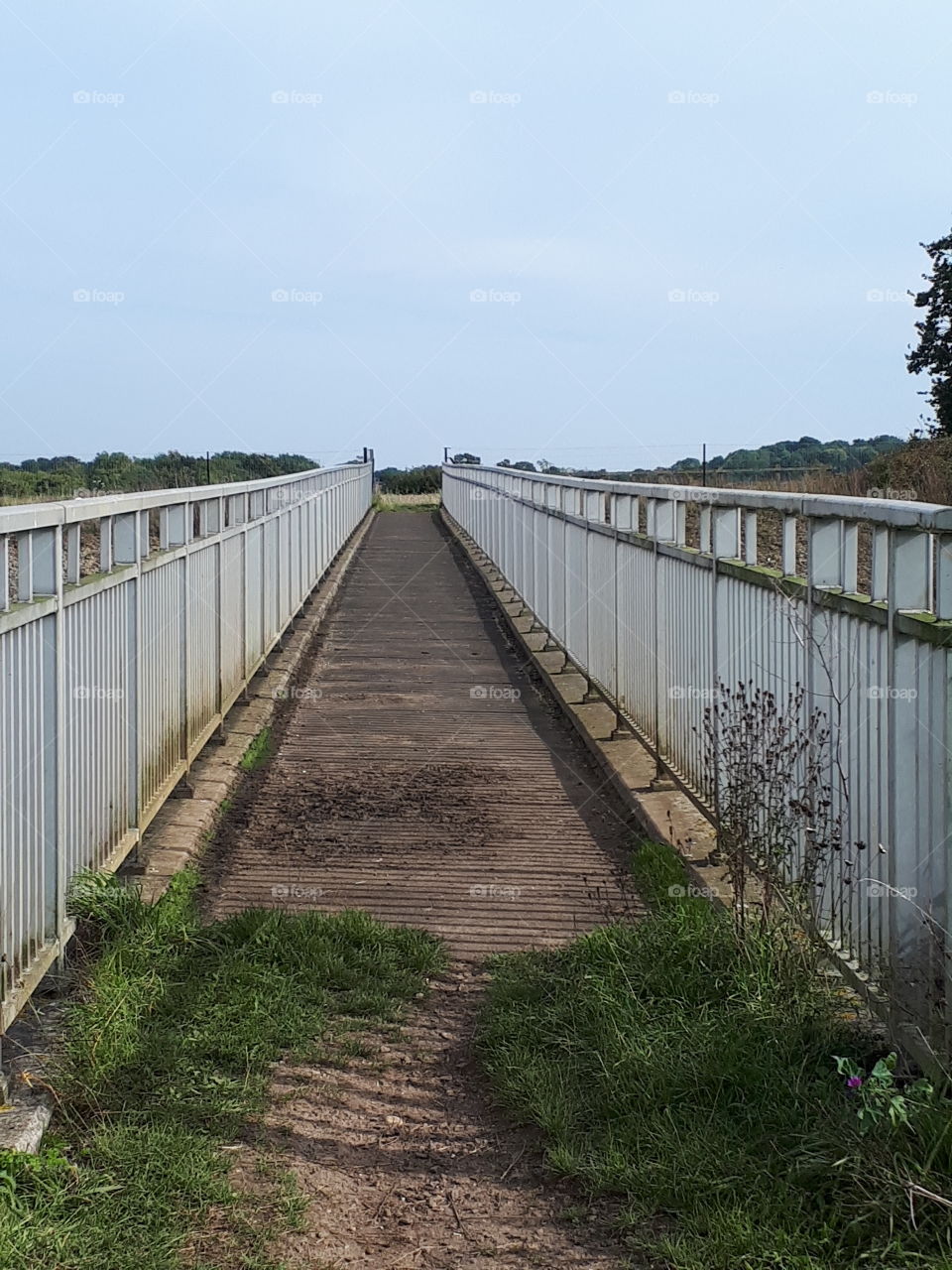 Foot Bridge