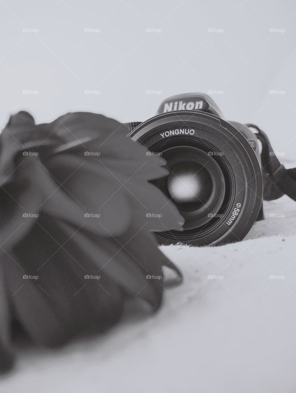 NIKON
