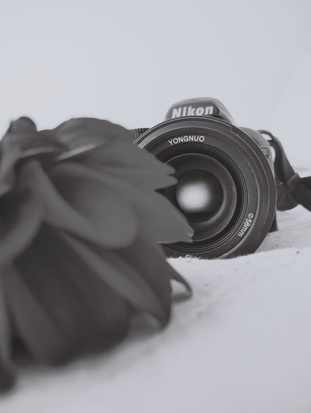 NIKON