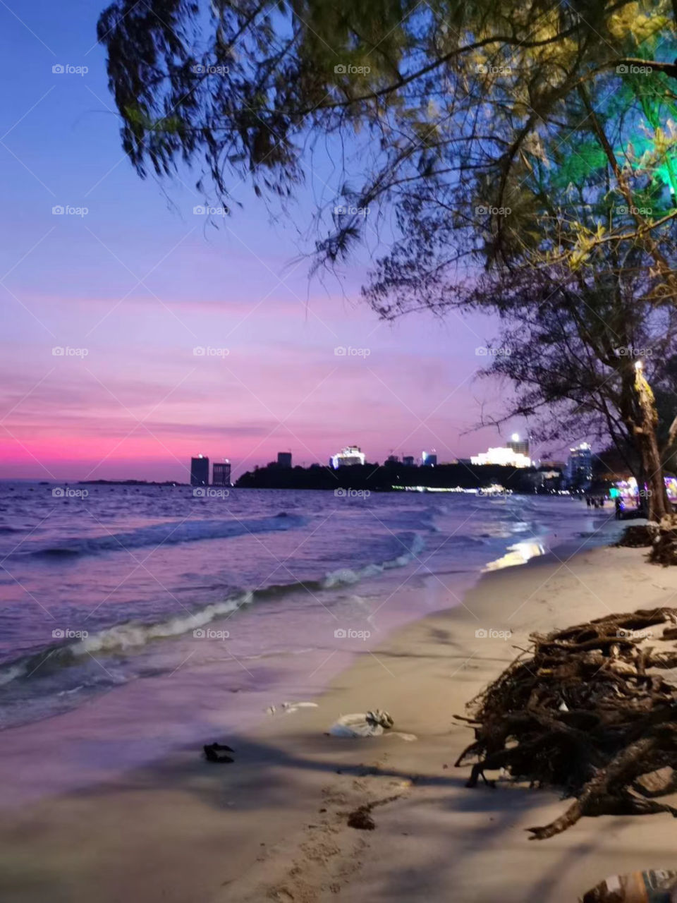 Sunset beach and tree