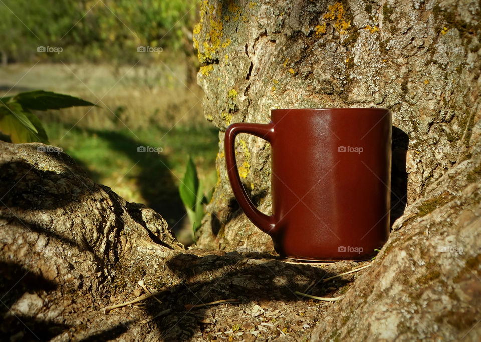 Autumn coffee time in the forest