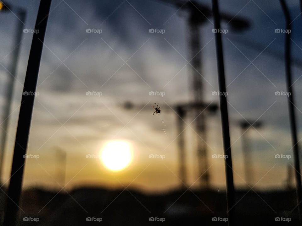 sunrise macro effect