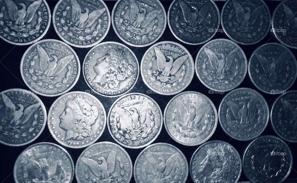 My Morgan silver dollars, a few of many. 