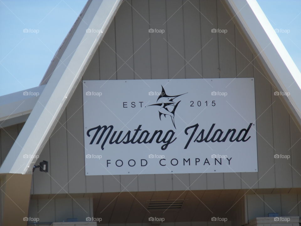 Mustang island. This is a vacation photo 📷 that I took while visiting the Gulf of Mexico. 👣 🚶 🏃 🔥 💨