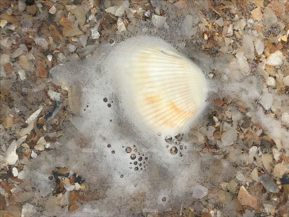 Water across a shell