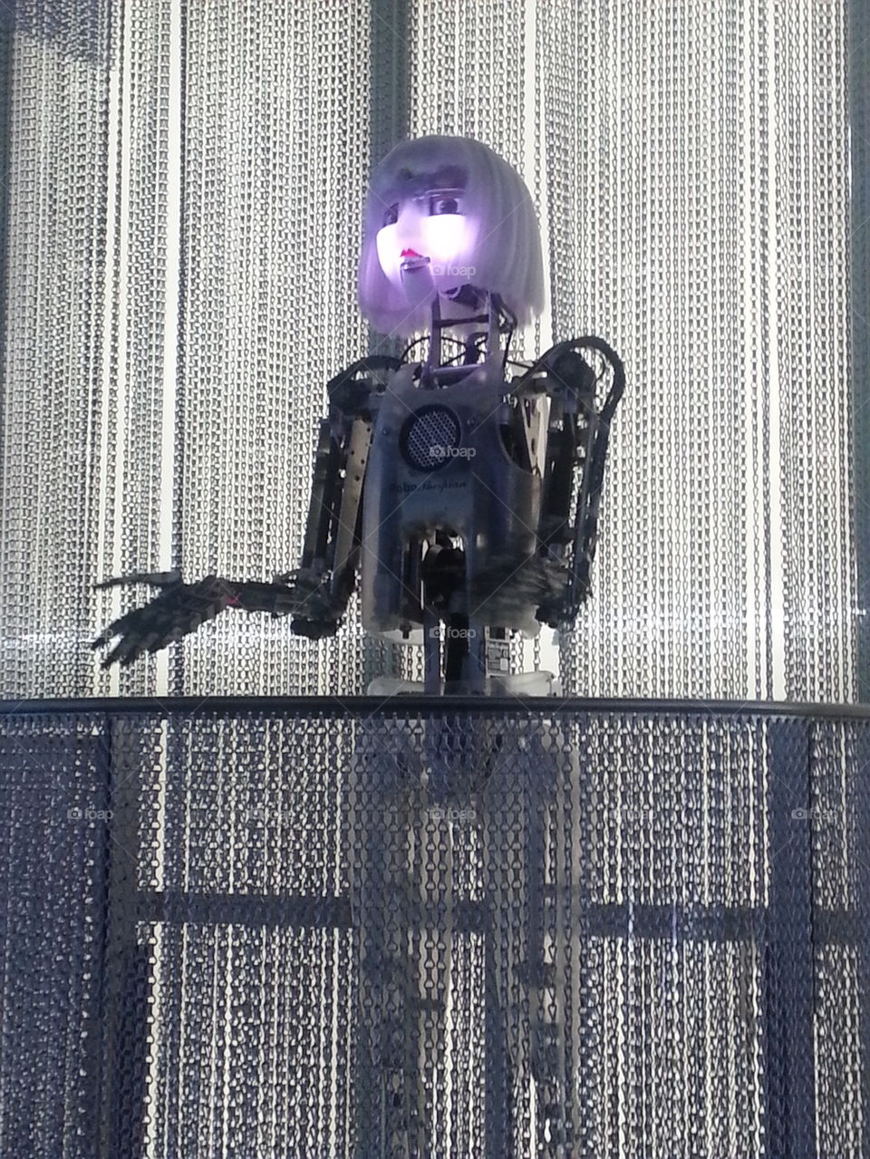 She-robot