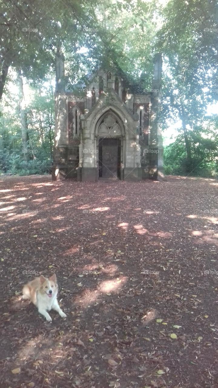 La chapelle dans le bois