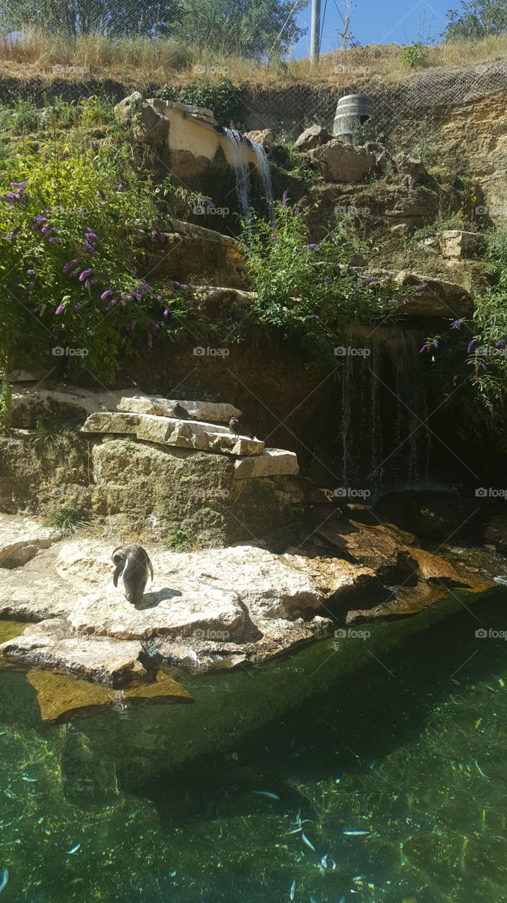 Water, No Person, Rock, Outdoors, River