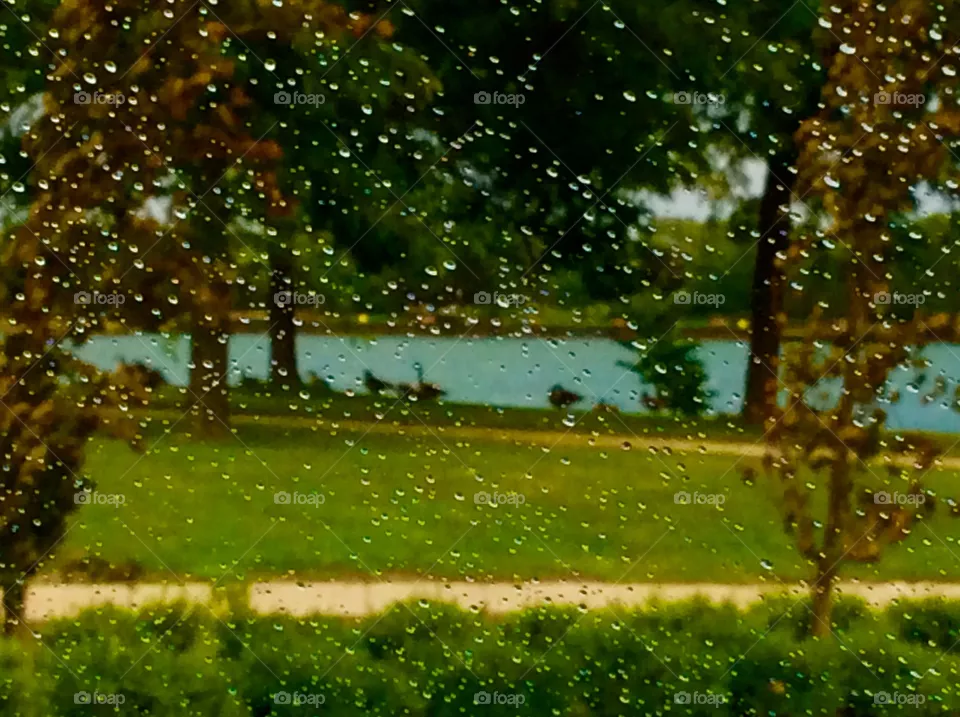 Rain drops