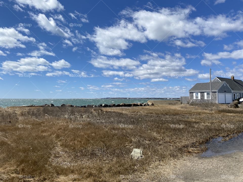 Lewis Bay, Cape Cod, spring 