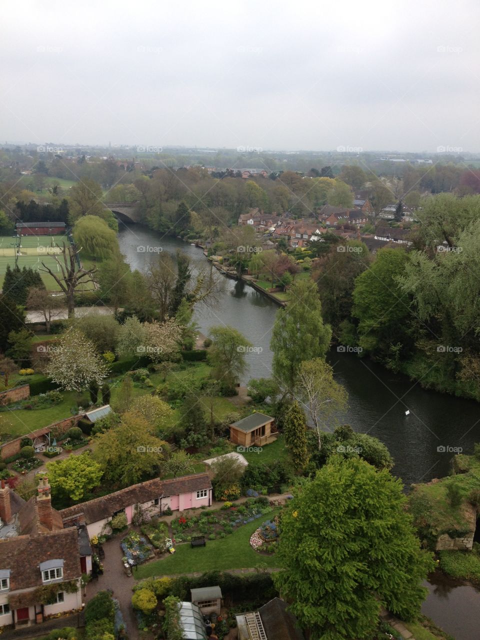 Beautiful view of river and trees 