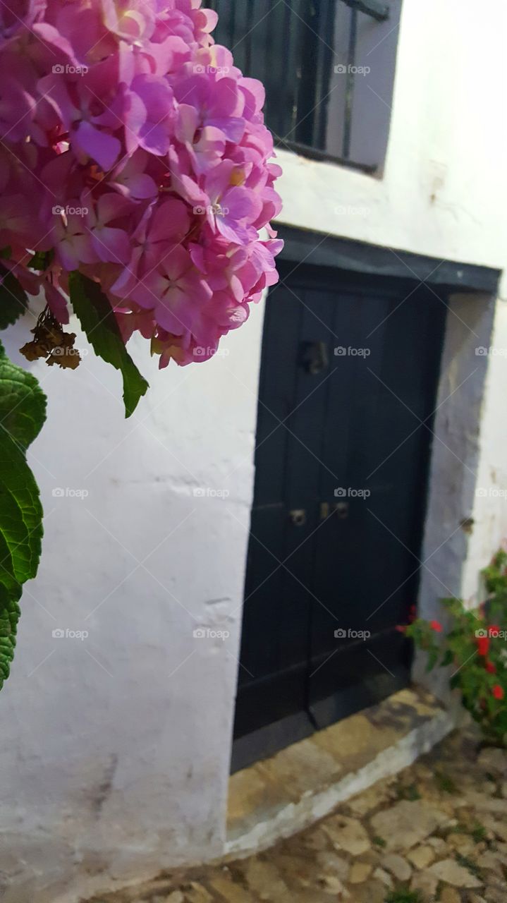 Flowers and Door