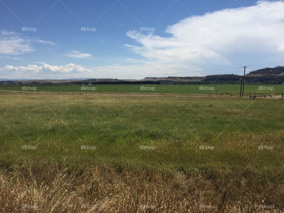Landscape, Agriculture, No Person, Cropland, Farm