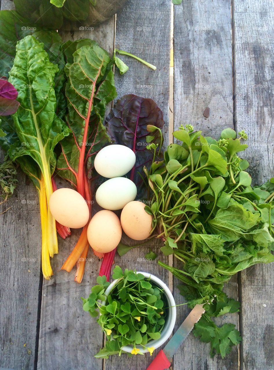 Farm fresh eats. Greens and eggs freshly picked from a rooftop farm in Brooklyn